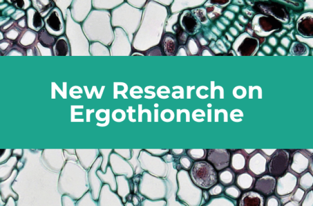 New Research on Ergothioneine – Extending Lifespan in Mice with Daily Supplementation