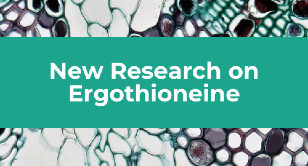 New Research on Ergothioneine – Extending Lifespan in Mice with Daily Supplementation